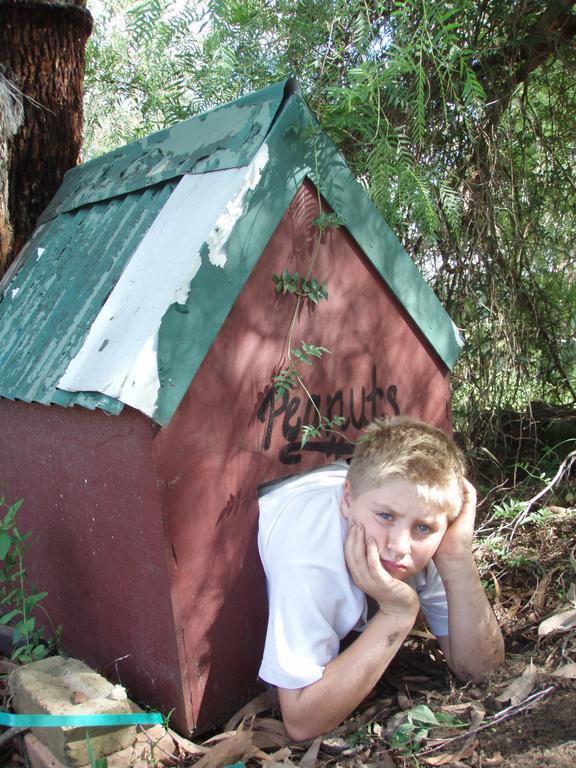 Kurrajong Trails & Cottages Wheeny Creek Exterior foto