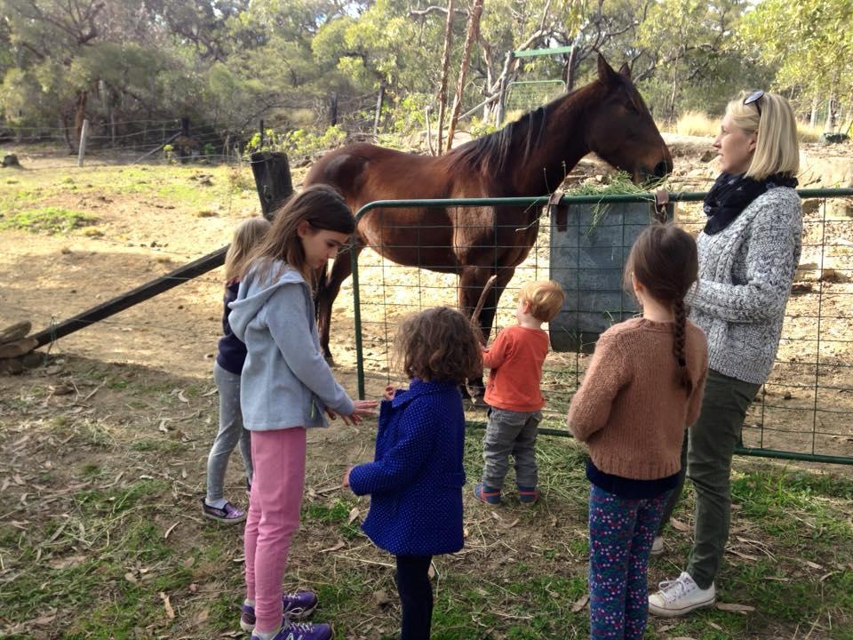 Kurrajong Trails & Cottages Wheeny Creek Exterior foto