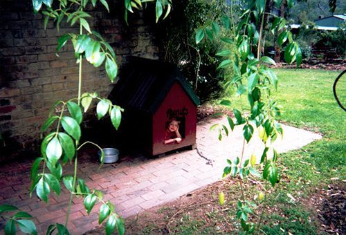 Kurrajong Trails & Cottages Wheeny Creek Exterior foto